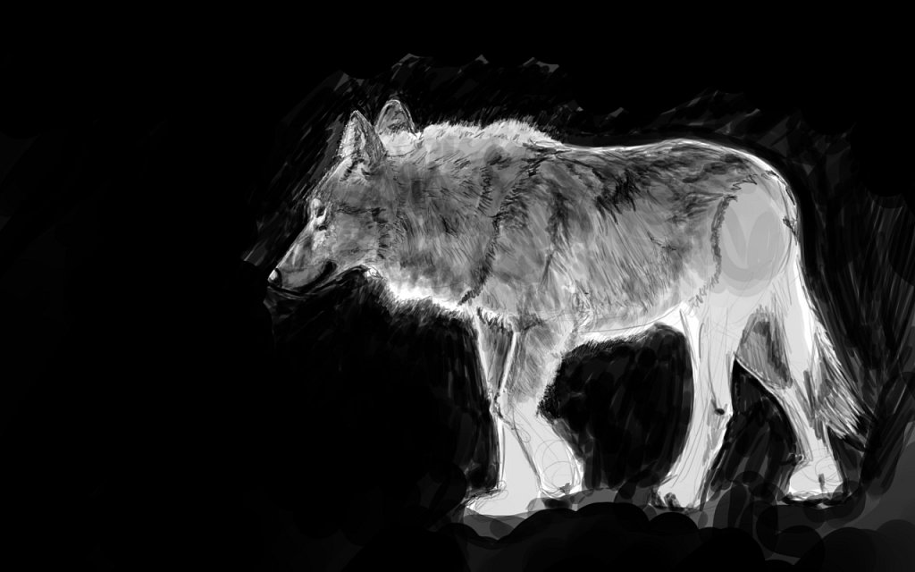 Wolf Digital Painting